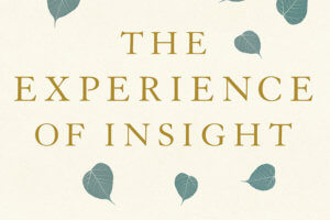 The Experience of Insight