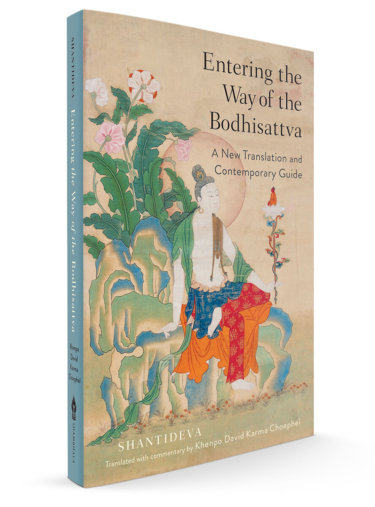 Entering the Way of the Bodhisattva