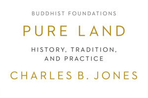 Pure Land Origins in China