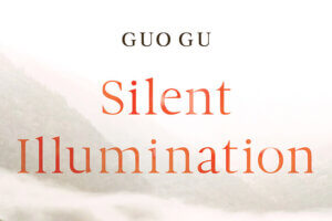 Silent Illumination