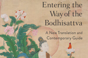 Transcendent Patience