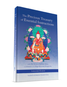 Precious Treasury of essential Instructions
