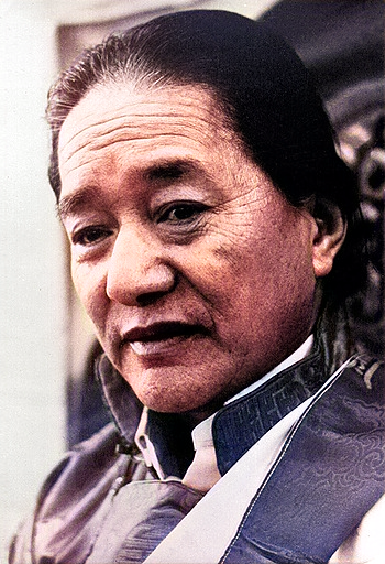 Dudjom RInpoche colorized photo