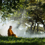 Buddhism and Climate Awareness