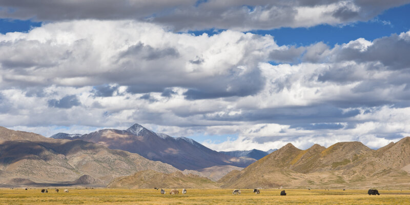 Namring County; formerly Ölpa Lhartse, the birth place of Thangtong Gyalpo