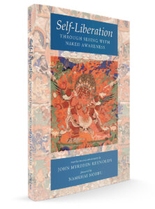 Self-Liberation through Seeing with Naked Awareness