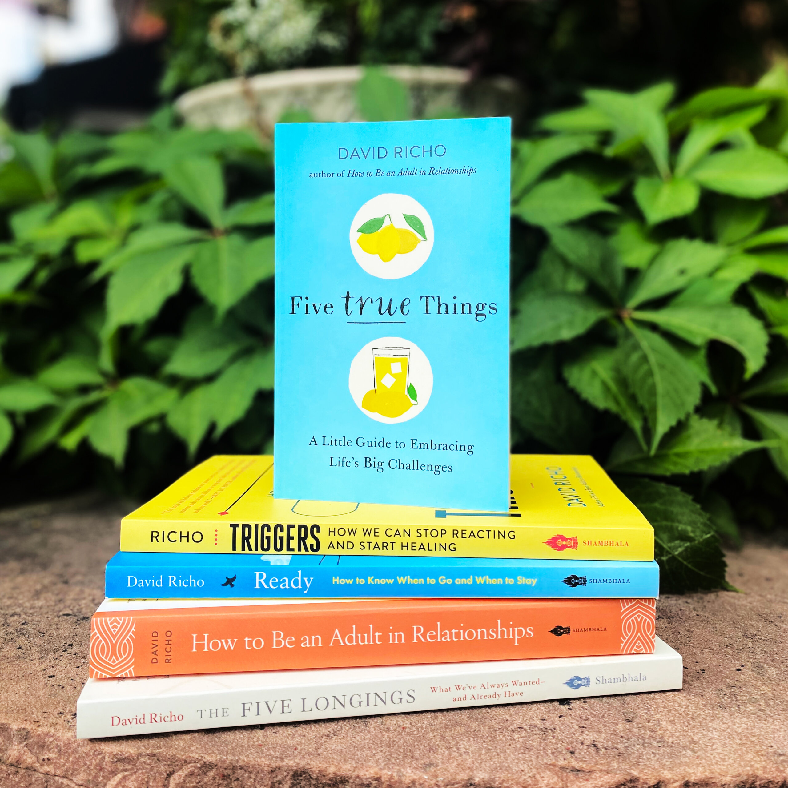 David Richo Giveaway