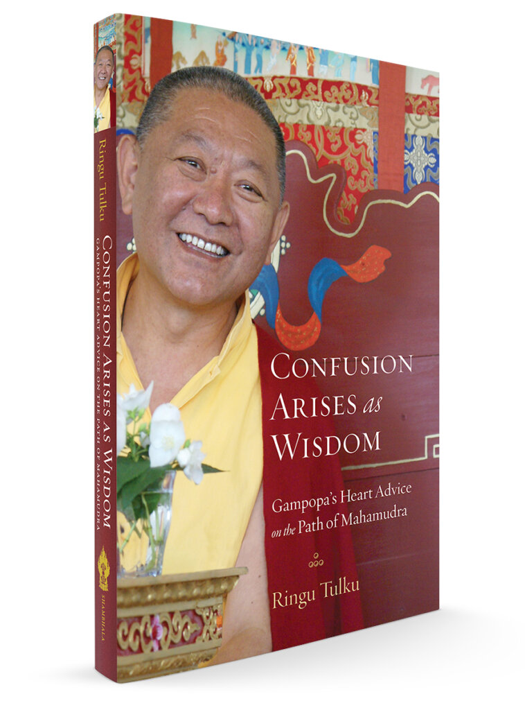 Confusion Arises as Wisdom image