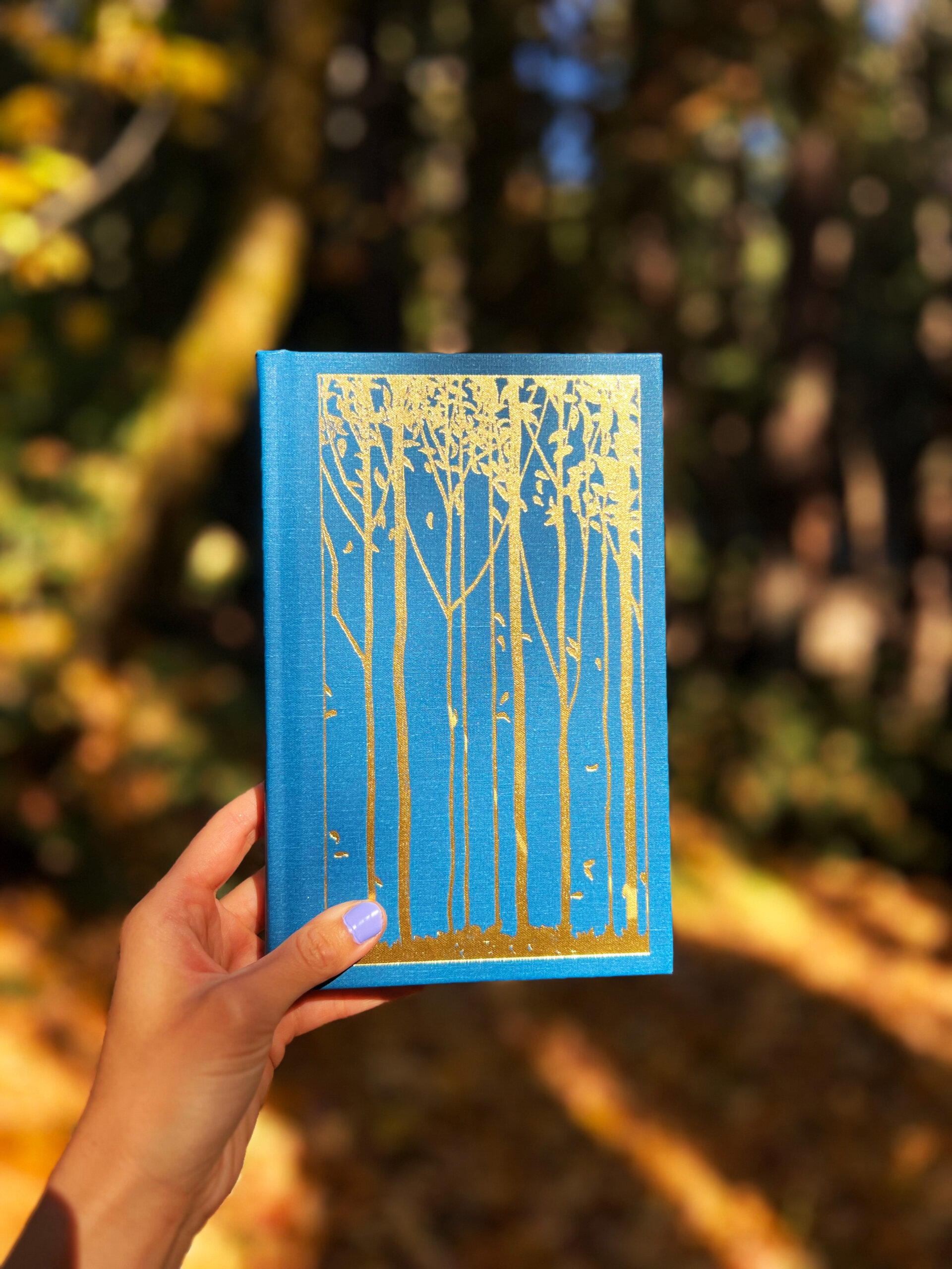 When Things Fall Apart Special Edition