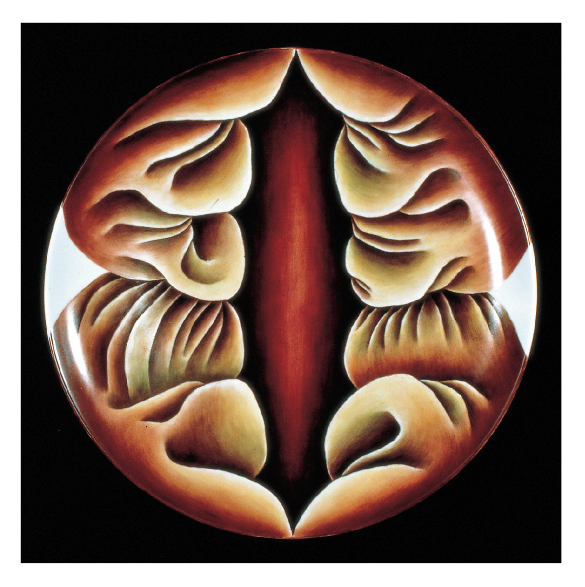 An interior, centered space surrounded by folds or undulations