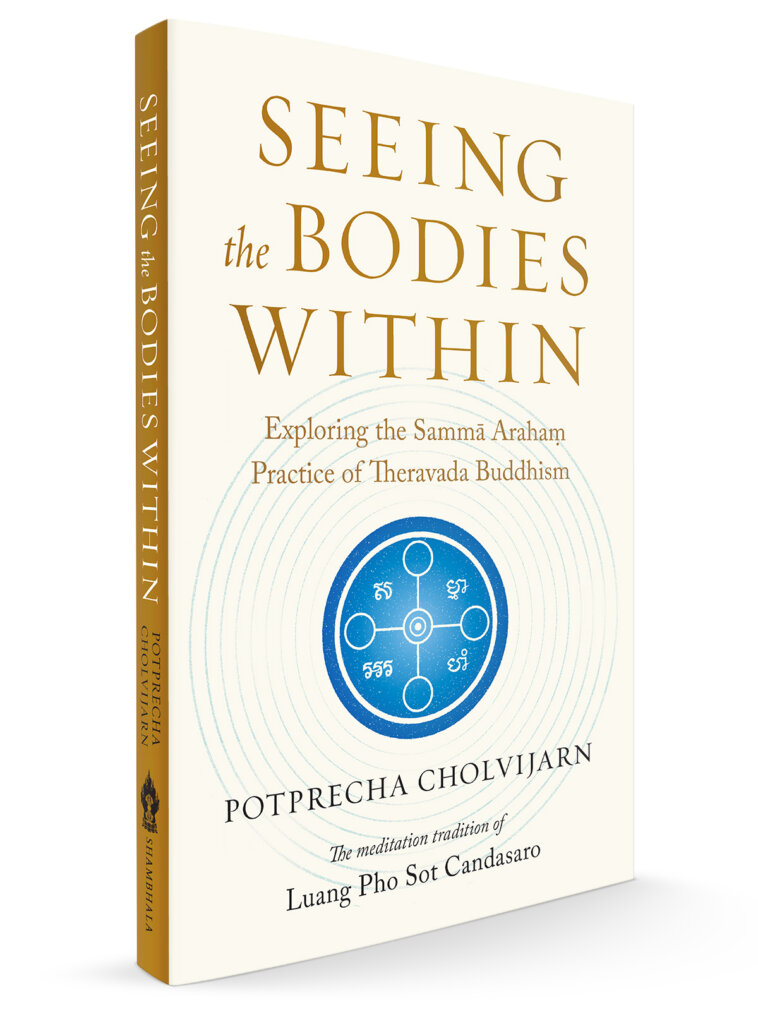 Seeing the Bodies Within