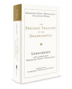 Precious Treasury of the Dharmadhatu