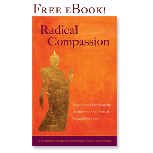 Radical Compassion