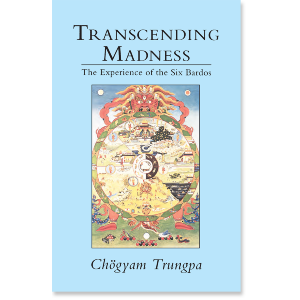 Transcending Madness