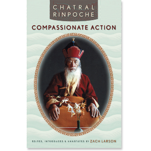 Compassionate Action