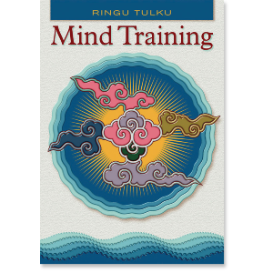 Mind Training