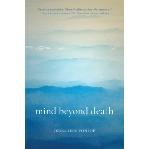 Mind Beyond Death