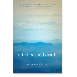 Mind Beyond Death