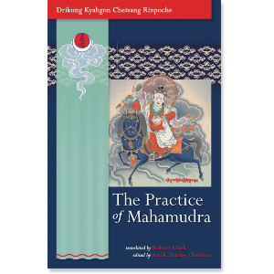 The Practice of Mahamudra