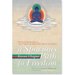 A Spacious Path to Freedom