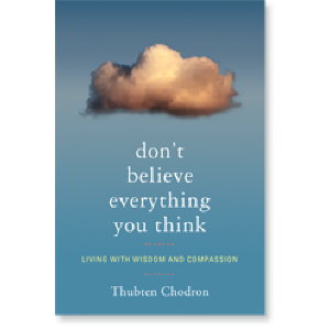 Don't Believe Everything You Think