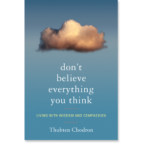 Dont Believe Everything You Think