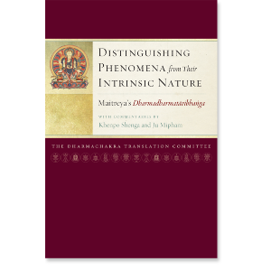 Distinguishing Phenomena from Their Intrinsic Nature