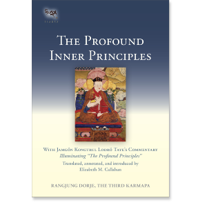 The Profound Inner Principles