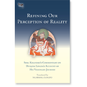 Refining Our Perception of Reality