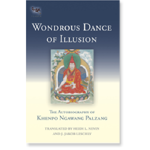 Wondrous Dance of Illusion