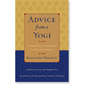 Advice from a Yogi