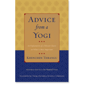 Advice from a Yogi