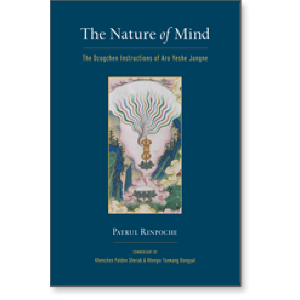 The Nature of Mind