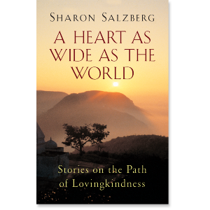 A Heart as Wide as the World