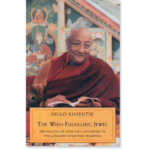 The Wish-Fulfilling Jewel