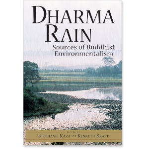 Dharma Rain