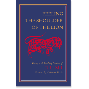 Feeling the Shoulder of the Lion
