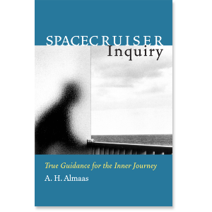 Spacecruiser Inquiry