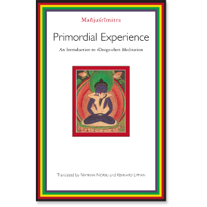 Primordial Experience