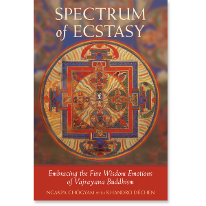Spectrum of Ecstasy