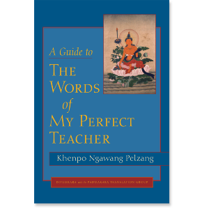 A Guide to The Words of My Perfect Teacher