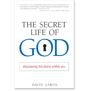 The Secret Life of God