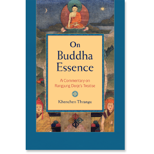 On Buddha Essence
