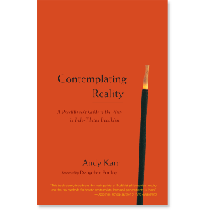 Contemplating Reality