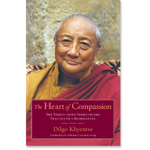 The Heart of Compassion
