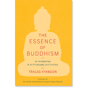 The Essence of Buddhism