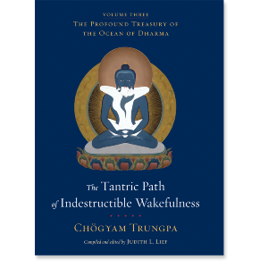 The Tantric Path of Indestructible Wakefulness (volume 3)