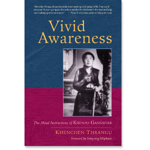 Vivid Awareness
