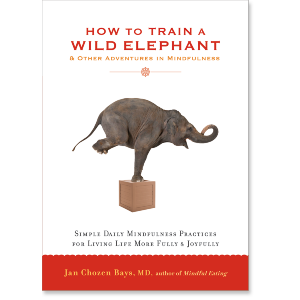 How to Train a Wild Elephant