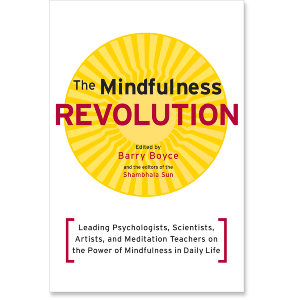 The Mindfulness Revolution